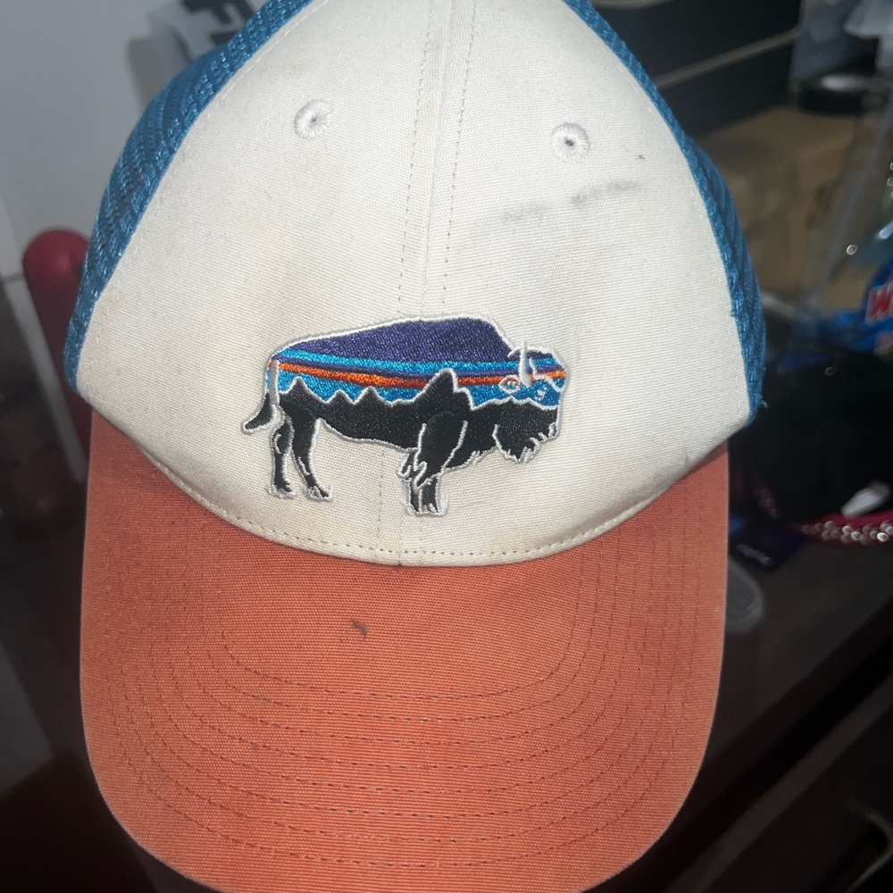 Patagonia Buffalo Embroidered Cap SnapBack Trucker Mesh